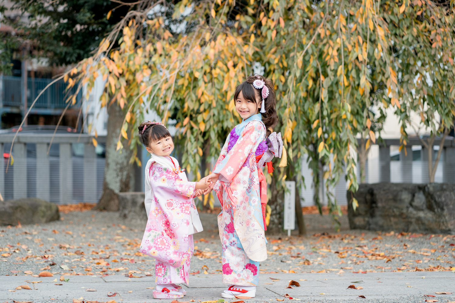 スタンダードプラン